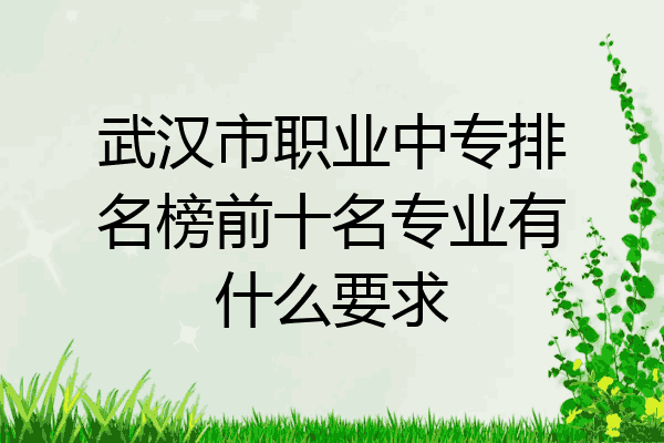 武汉市职业中专排名榜前十名专业有什么要求