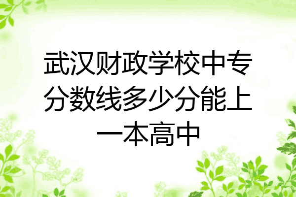 武汉财政学校中专分数线多少分能上一本高中