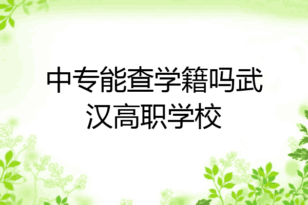 中专能查学籍吗武汉高职学校