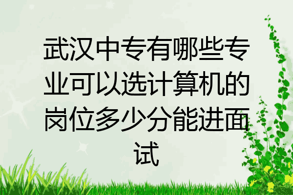 武汉中专有哪些专业可以选计算机的岗位多少分能进面试