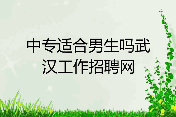 中专适合男生吗武汉工作招聘网