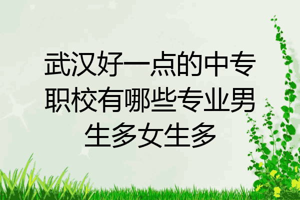 武汉好一点的中专职校有哪些专业男生多女生多