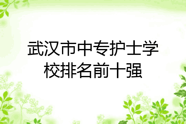 武汉市中专护士学校排名前十强