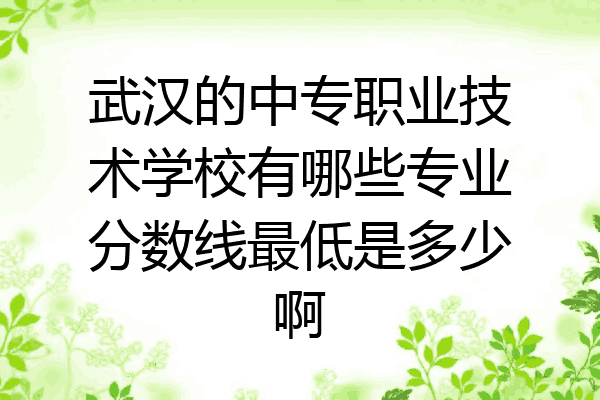武汉的中专职业技术学校有哪些专业分数线最低是多少啊