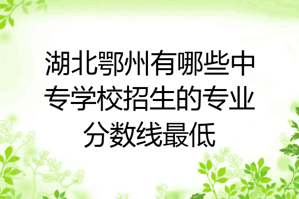湖北鄂州有哪些中专学校招生的专业分数线最低
