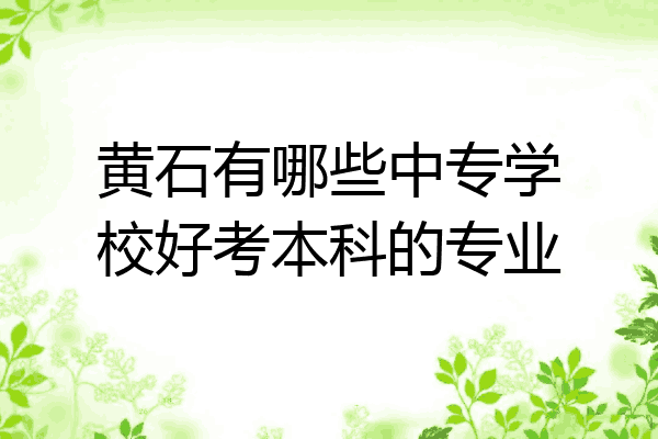 黄石有哪些中专学校好考本科的专业