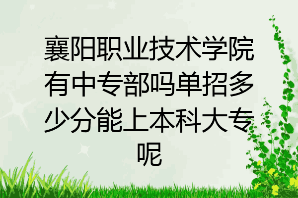 襄阳职业技术学院有中专部吗单招多少分能上本科大专呢