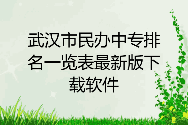 武汉市民办中专排名一览表最新版下载软件