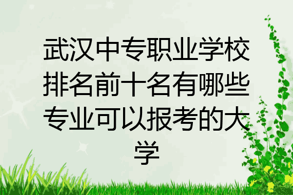 武汉中专职业学校排名前十名有哪些专业可以报考的大学