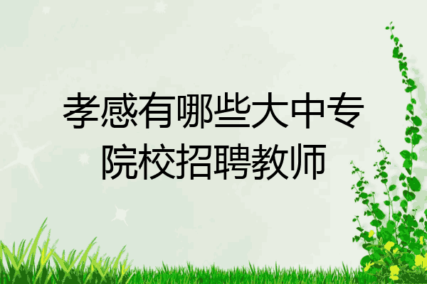 孝感有哪些大中专院校招聘教师