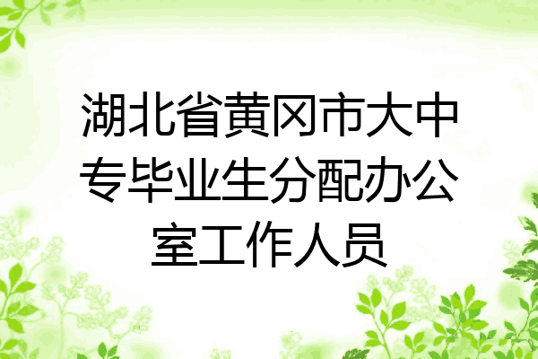 湖北省黄冈市大中专毕业生分配办公室工作人员