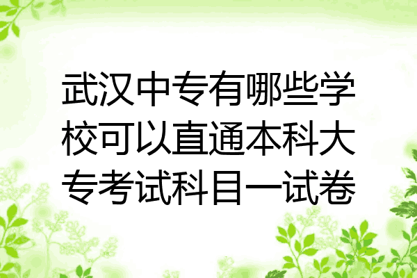 武汉中专有哪些学校可以直通本科大专考试科目一试卷