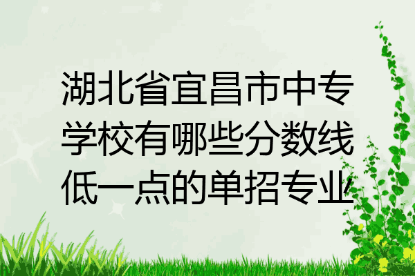 湖北省宜昌市中专学校有哪些分数线低一点的单招专业