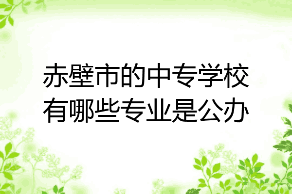 赤壁市的中专学校有哪些专业是公办
