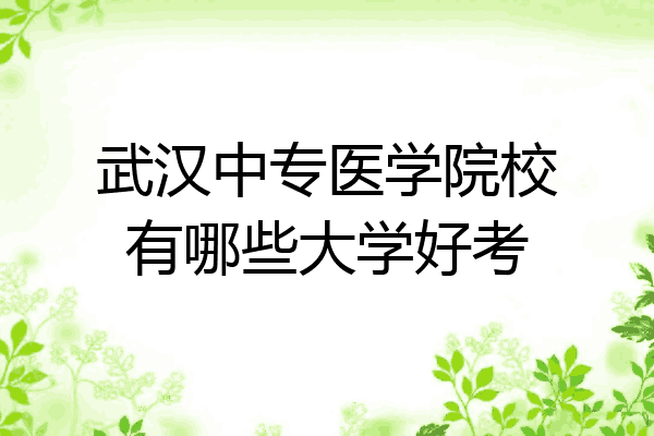 武汉中专医学院校有哪些大学好考