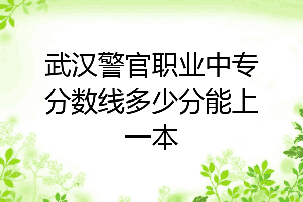 武汉警官职业中专分数线多少分能上一本