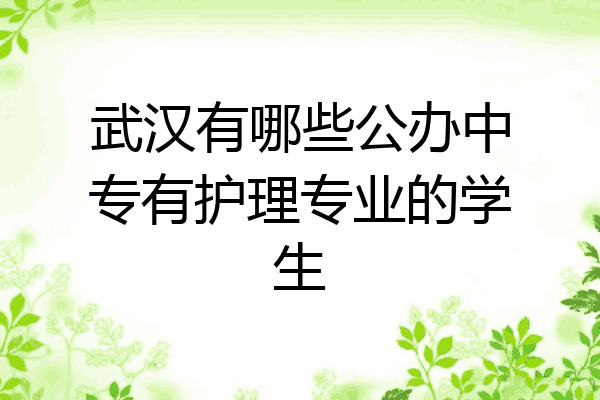 武汉有哪些公办中专有护理专业的学生