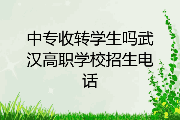 中专收转学生吗武汉高职学校招生电话