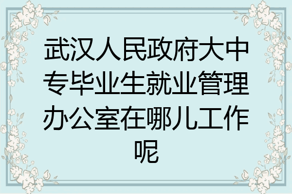 武汉人民政府大中专毕业生就业管理办公室在哪儿工作呢
