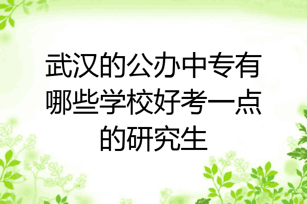 武汉的公办中专有哪些学校好考一点的研究生