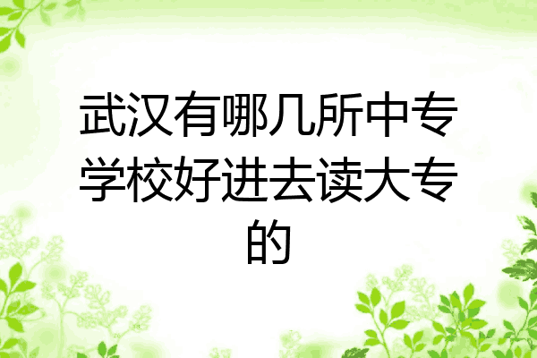 武汉有哪几所中专学校好进去读大专的
