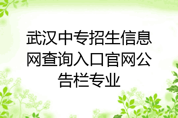 武汉中专招生信息网查询入口官网公告栏专业