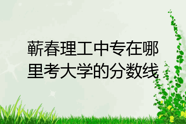 蕲春理工中专在哪里考大学的分数线