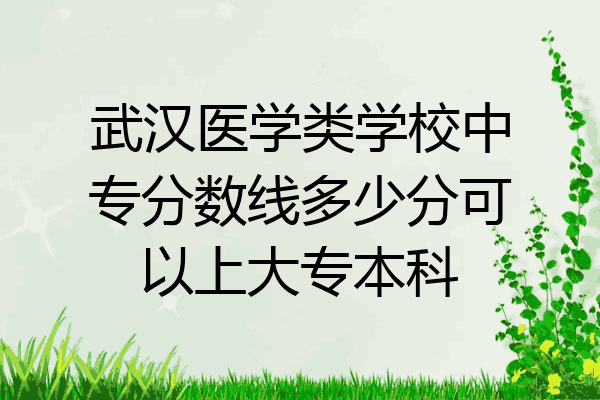 武汉医学类学校中专分数线多少分可以上大专本科