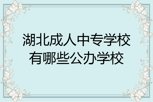 湖北成人中专学校有哪些公办学校