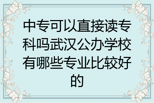 中专可以直接读专科吗武汉公办学校有哪些专业比较好的