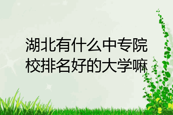湖北有什么中专院校排名好的大学嘛