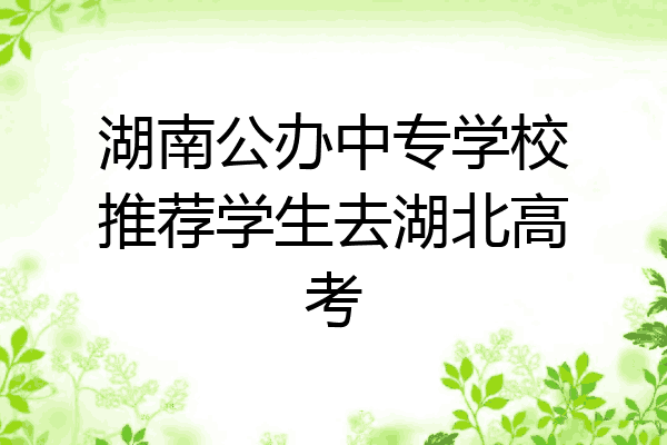 湖南公办中专学校推荐学生去湖北高考