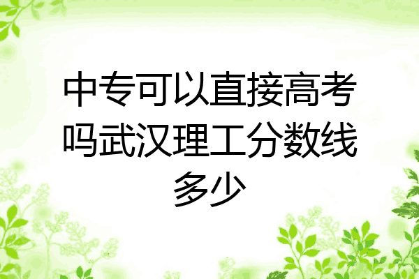 中专可以直接高考吗武汉理工分数线多少