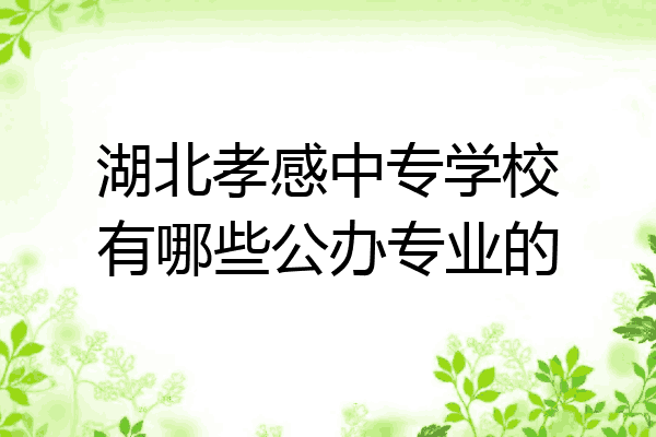 湖北孝感中专学校有哪些公办专业的