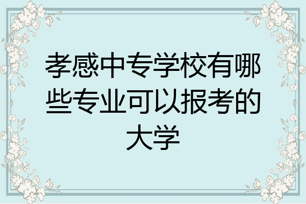 孝感中专学校有哪些专业可以报考的大学