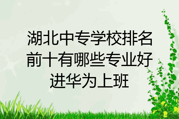 湖北中专学校排名前十有哪些专业好进华为上班