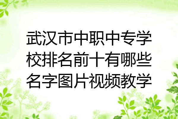 武汉市中职中专学校排名前十有哪些名字图片视频教学