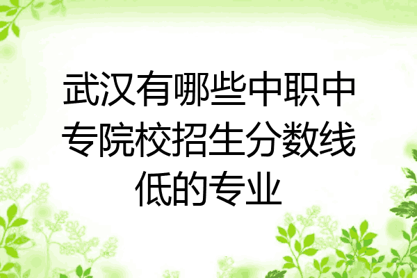 武汉有哪些中职中专院校招生分数线低的专业