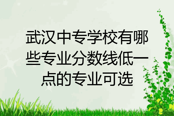 武汉中专学校有哪些专业分数线低一点的专业可选