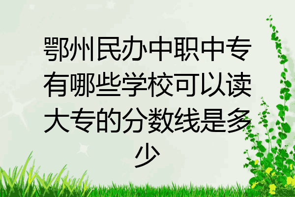 鄂州民办中职中专有哪些学校可以读大专的分数线是多少