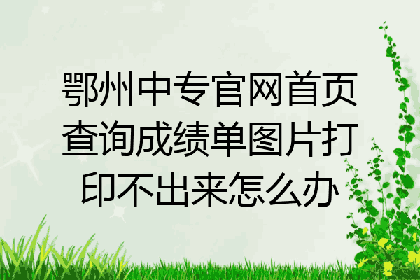 鄂州中专官网首页查询成绩单图片打印不出来怎么办