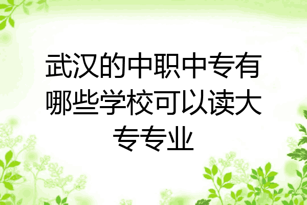 武汉的中职中专有哪些学校可以读大专专业