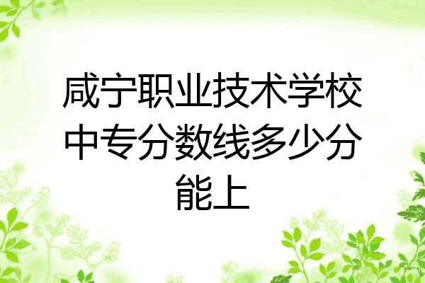 咸宁职业技术学校中专分数线多少分能上