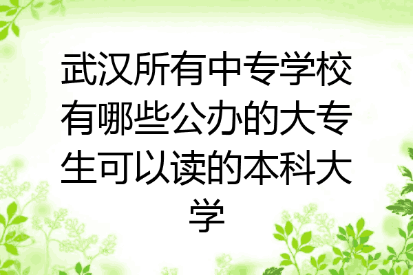 武汉所有中专学校有哪些公办的大专生可以读的本科大学