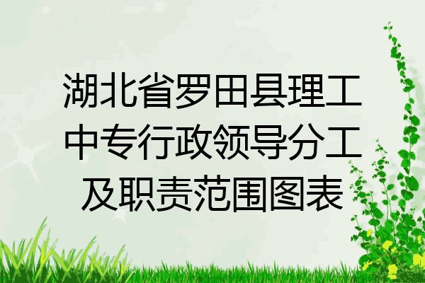 湖北省罗田县理工中专行政领导分工及职责范围图表
