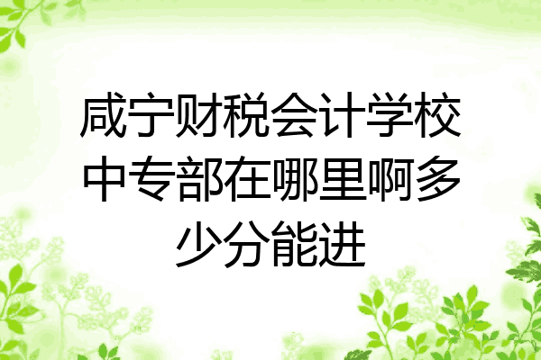 咸宁财税会计学校中专部在哪里啊多少分能进