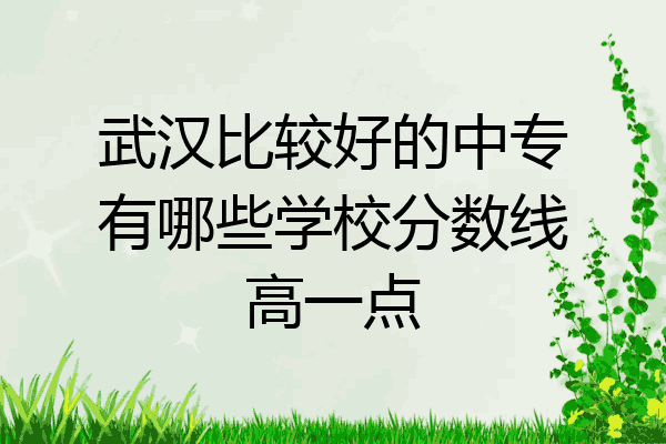 武汉比较好的中专有哪些学校分数线高一点