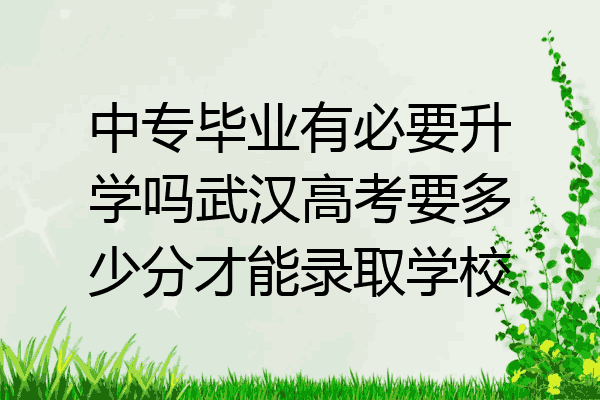 中专毕业有必要升学吗武汉高考要多少分才能录取学校