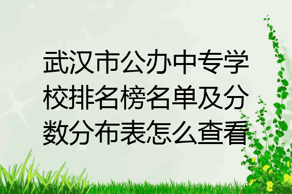 武汉市公办中专学校排名榜名单及分数分布表怎么查看