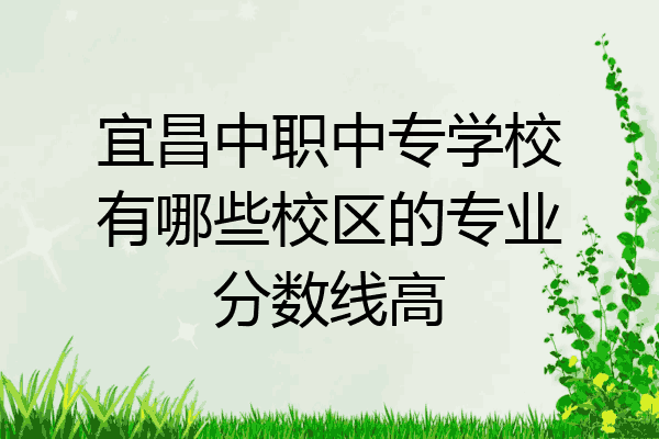 宜昌中职中专学校有哪些校区的专业分数线高